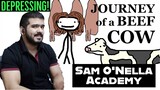 The Journey of a Beef Cow (Sam O'Nella Academy) reaction