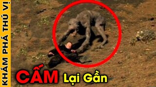 🔥 7 Bí ẨN Ly Kỳ Và Đáng Sợ Ở Trung Quốc Giấu Sau Địa Điểm Này Mà Mọi Người Không Hề Hay Biết | KPTV