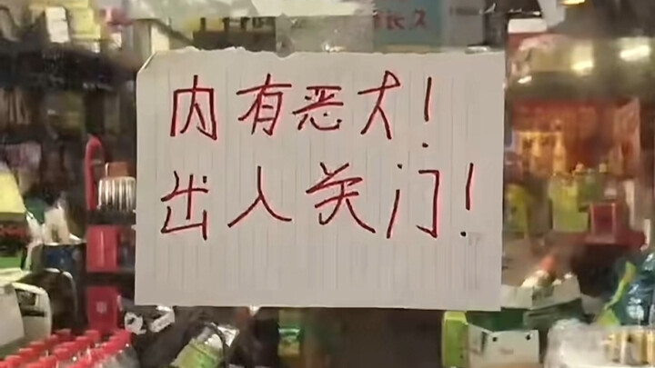 “Ini dia si anak anjing imut yang imut sekaligus menggemaskan, lucu banget!”