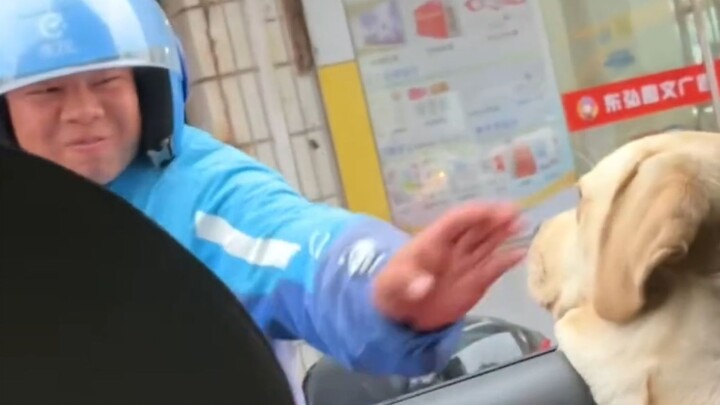 คุณไม่สามารถซ่อนความรักที่มีต่อลูกสุนัขไว้ในดวงตาของคุณได้!