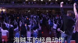 海贼王经典动作