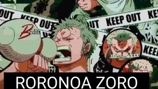 RORONOA ZORO⚔️🏴‍☠️