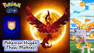 Boss Raid Huyền Thoại Moltres "Chim Lửa" Xuất Hiện! Đấu Nào!