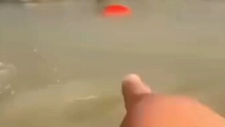 Terkejut! Seorang pria menggali sebuah batu merah, dan ketika dia membukanya, ternyata itu adalah ba