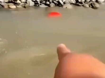 Shocked! A man dug up a red stone and found...