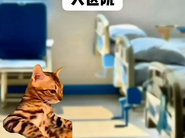 大医院vs小医院