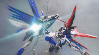 【PoseShow】HGCE New Freedom Gundam