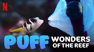 Watch Puff- Wonders of the Reef      Documentary Family