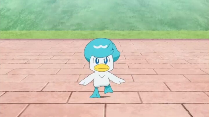 Runshui duck dances for 3 minutes (pure enjoyment without dialogue version)