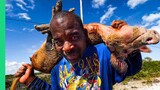 Bahamas BAREHAND Pig Hunting!! Carribean’s Most DANGEROUS Food!!