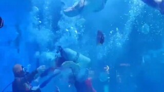 كما هو متوقع من سيتشوان وتشونغتشينغ، هذا جنون! لدى الأكواريوم عرض جديد! ألترامان يحارب وحوشًا تحت ال