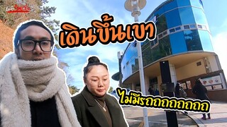 ปูซานทาวเวอร์ วัดติดทะเล เดินขึ้นเขาไปทำอะไร ? | ป๊าพาไป ตะลุยเกาหลี EP.3  | แม่มุ้ยกินแซ่บ