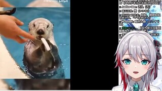 Japanese natural little sister watching "This guy seems to know that he is cute"