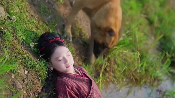 Twist tentang latar belakang sang putri! Drama kostum kuno dengan alur cerita penuh kejutan~