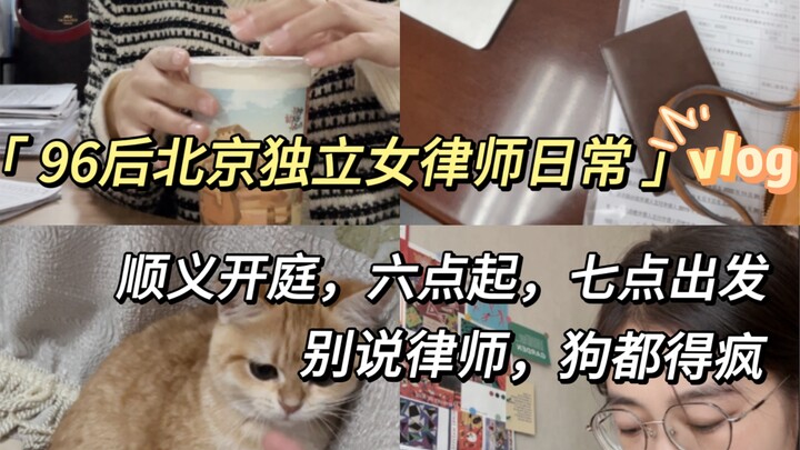 Beijing Independent Female Lawyer’s Daily Life | Court Session in Shunyi at 9 AM—Who Wouldn’t Go Cra