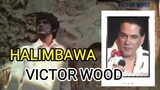 HALIMBAWA song by VICTOR WOOD #victorwood #oldiesbutgoodies #bringbackmemories
