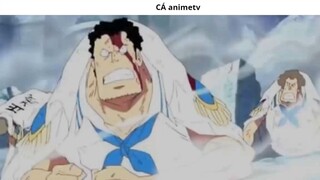 10 Tội ác mà _Chó Đỏ_ Akainu đã gây ra khiến Fan không thể tha thứ __ 6