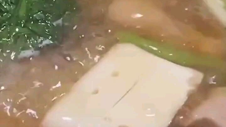 Thành Món Ăn Rồi Cũng Không Yên