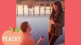 Will YOU Marry Me? Her Response is SHOCKING | Funny Proposal Fails