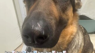 hm📉 hmm 📈hmm📈📈