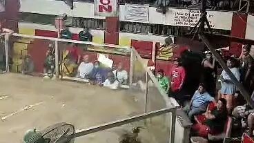 2nd fight 2hits ulutan champion sta Quireria December 26'2023