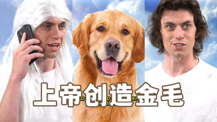 عندما خلق الله الكلب الذهبي… من هو في الحقيقة الكلب المثالي؟