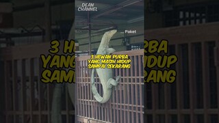 3 Hewan Purba Yang Masih Hidup Sampai Sekarang (Nomer 3 Kamu Gak Akan Nyangka) #shorts