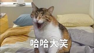 عندما شارك صديقي معي مقطع فيديو لأول مرة مقابل مشاركة 1000 مقطع في اليوم!