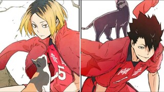 Kuroo x Kenma‼️Pesona 2 kucing pejantan 😼 || KuroKen fanart