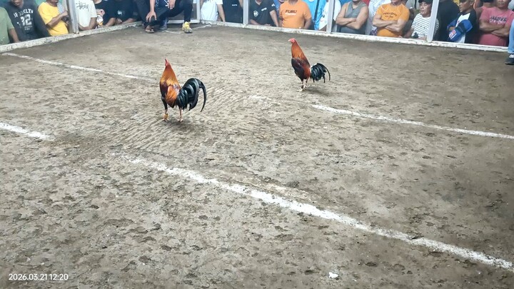 First fight sa 2wins maalat talo peacomb sa anim nyan . #  Buhangin 1 #