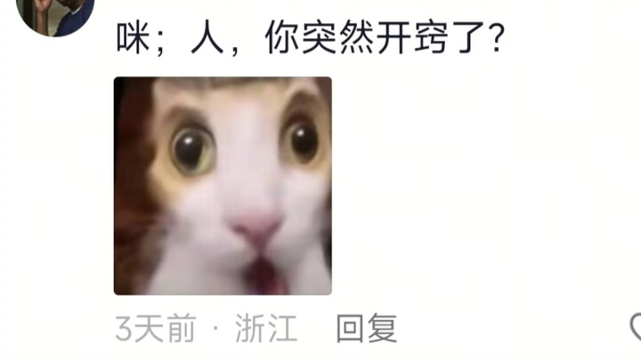 Kenapa kamu bisa bermain dengan Mi dengan begitu akrab 😮