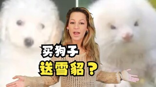 คุณซื้อสุนัขมาแต่กลับกลายเป็นเฟอร์เร็ตเมื่อคุณกลับถึงบ้านใช่ไหม?