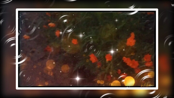 it’s garden and baterfyli gada Flower