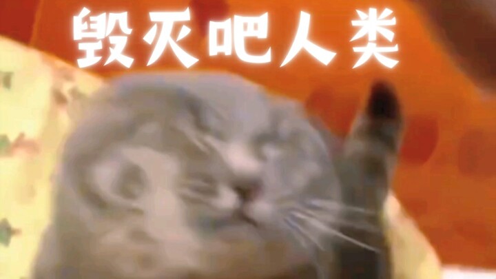 เหนื่อยแล้ว โลกนี้ทำไมมีพวกเล่นไม่ซื่อเยอะขนาดนี้