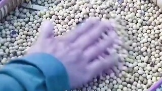 لا بد أن هذه العمة لديها رجل ذهبي صغير