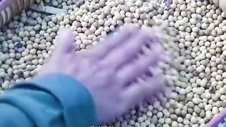 这大妈必须小金人