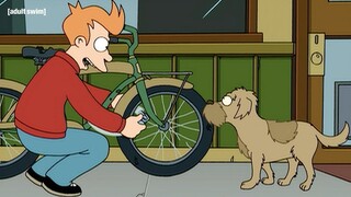 Fry Wants His Dog Back | Futurama | adult swim