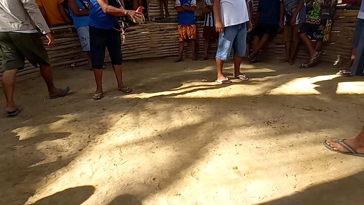 nakatyamba  manok natin😁