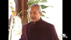 สายโลหิต ตอนที่11