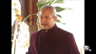 สายโลหิต ตอนที่11