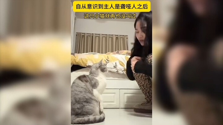 Sang pemilik kucing tidak dapat mendengar suara, maka si kucing pun menciptakan bahasa isyarat khusu