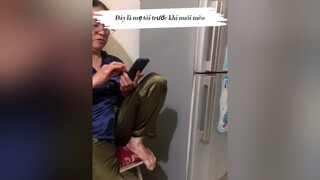 Có bạn nào bị mẹ cấm nuôi mèo như này chưa 🤣 mèo golden meo_golden