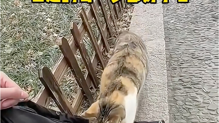 It's Hakimi who's being reckless and thoughtless.