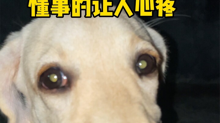 Actually, I’ve been watching everything; I’m completely broken.