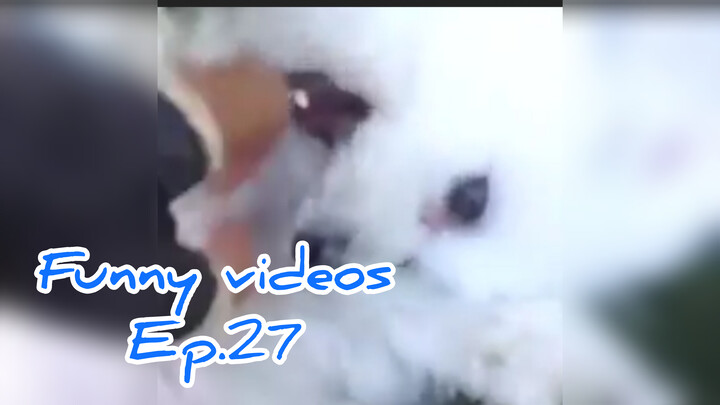 Funny videosEp.27