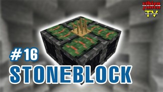 Stoneblock 16 - Làm Sáng Tỏ Những Điều Chưa Biết