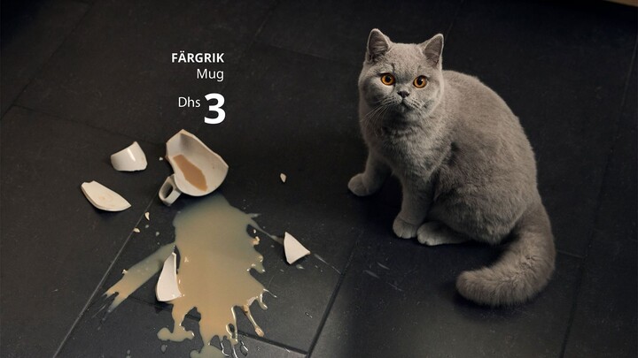 Hewan peliharaan merusak rumah? Iklan manis IKEA “Jangan Khawatir, Kamu Mampu Membelinya” 😂