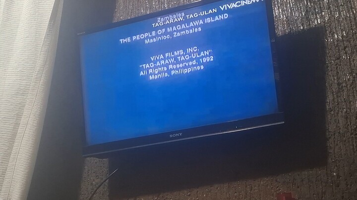 Viva Cinema - Continuity [02-17-2026]