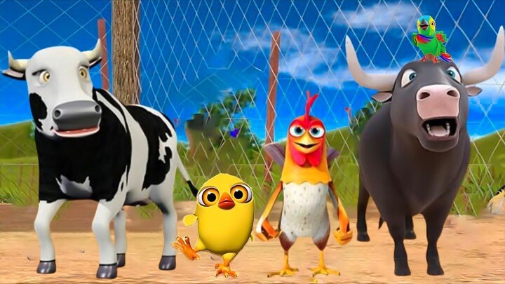 El Pollito Pío y el Tractor de la Granja Canciones de la Granja de Zenón Toro