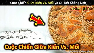 Cuộc Chiến Gay Cấn Giữa Kiến Khủng Vs. Tổ Mối Béo Múp Và Cái Kết || Review Giải Trí Đời Sống